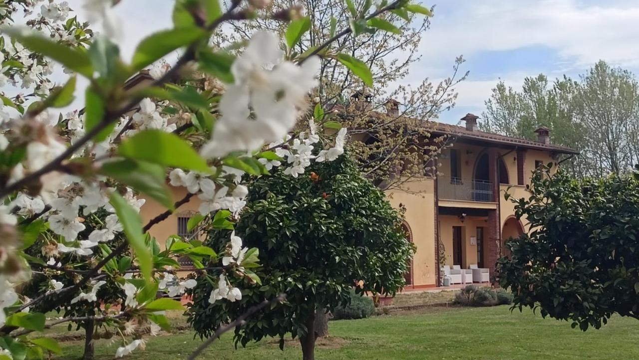 Il Chiassetto Agriturismo No Kids Cascina Exterior photo
