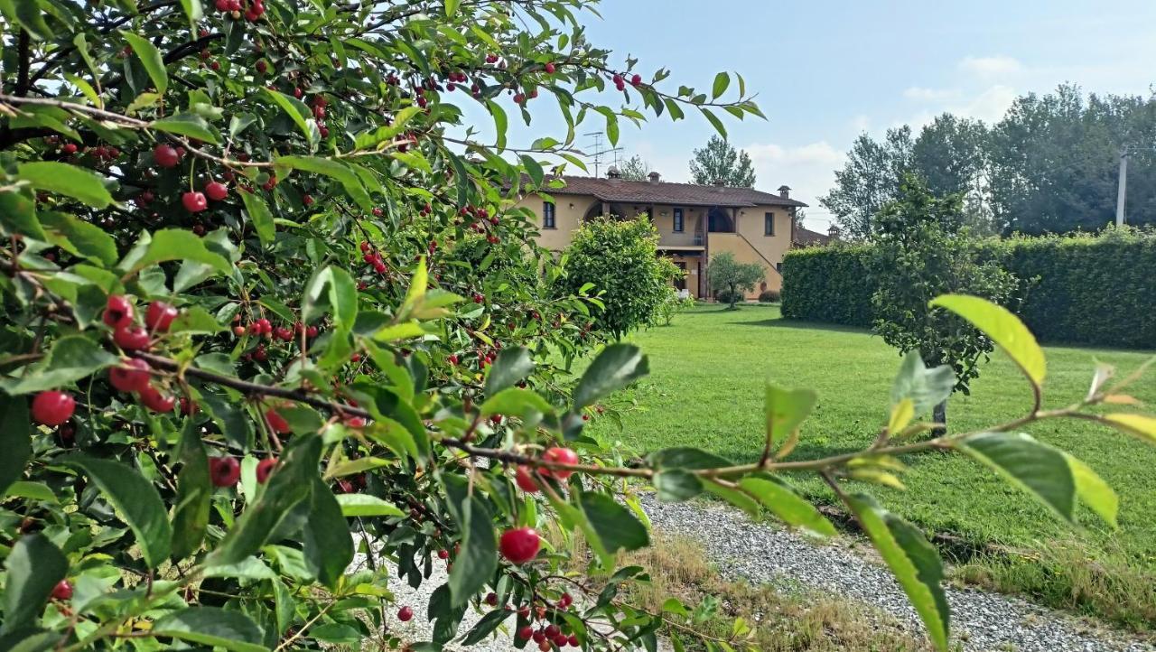 Il Chiassetto Agriturismo No Kids Cascina Exterior photo