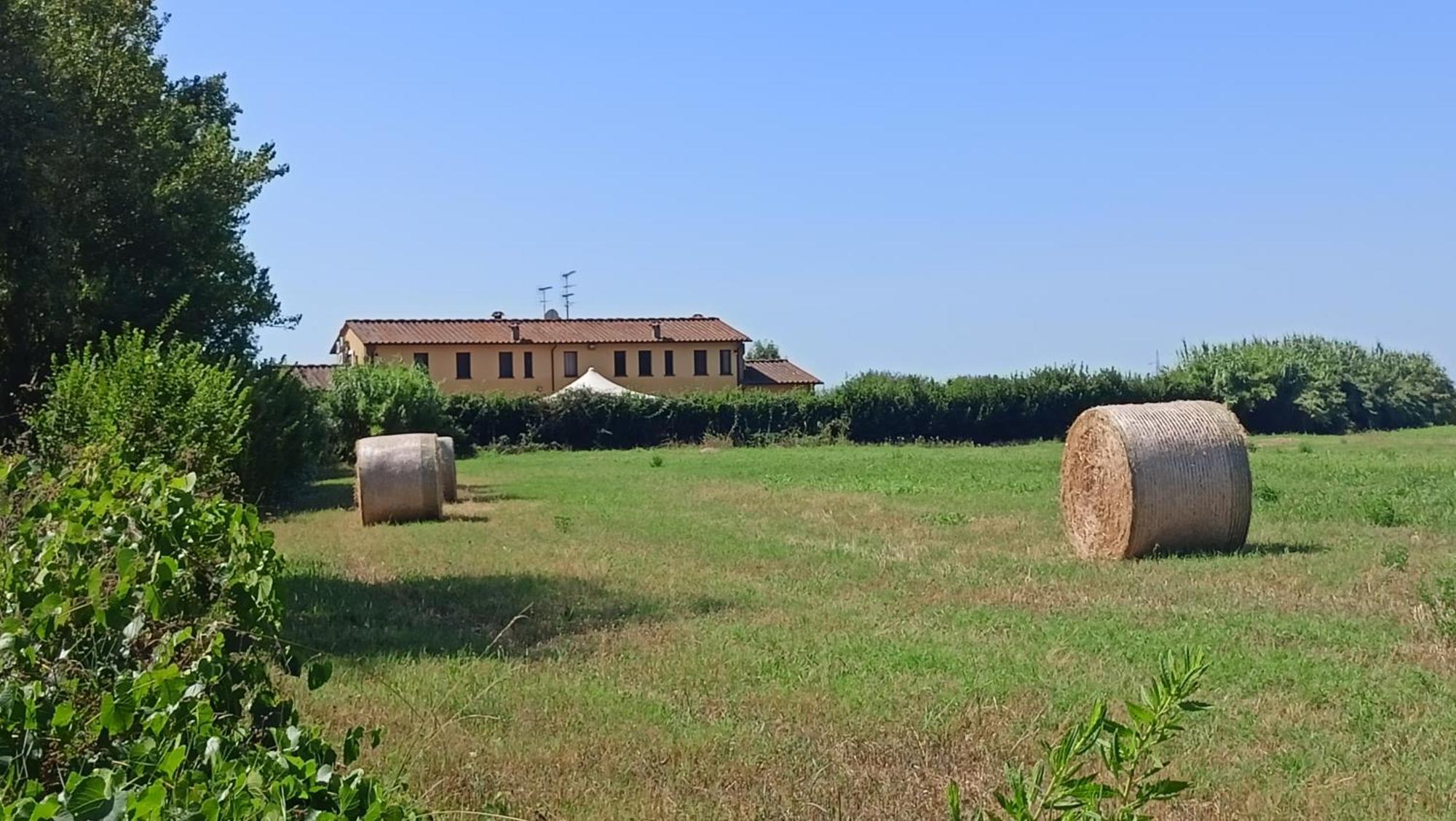 Il Chiassetto Agriturismo No Kids Cascina Exterior photo